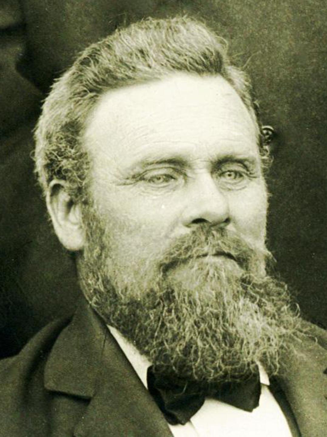 Hemming Hansen (1848 - 1933) Profile